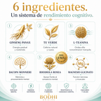 Infografía con los ingredientes de Apolo