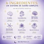 Los seis ingredientes de Morpheus: GABA, valeriana, pasiflora, manzanilla, melena de león y magnesio glicinato