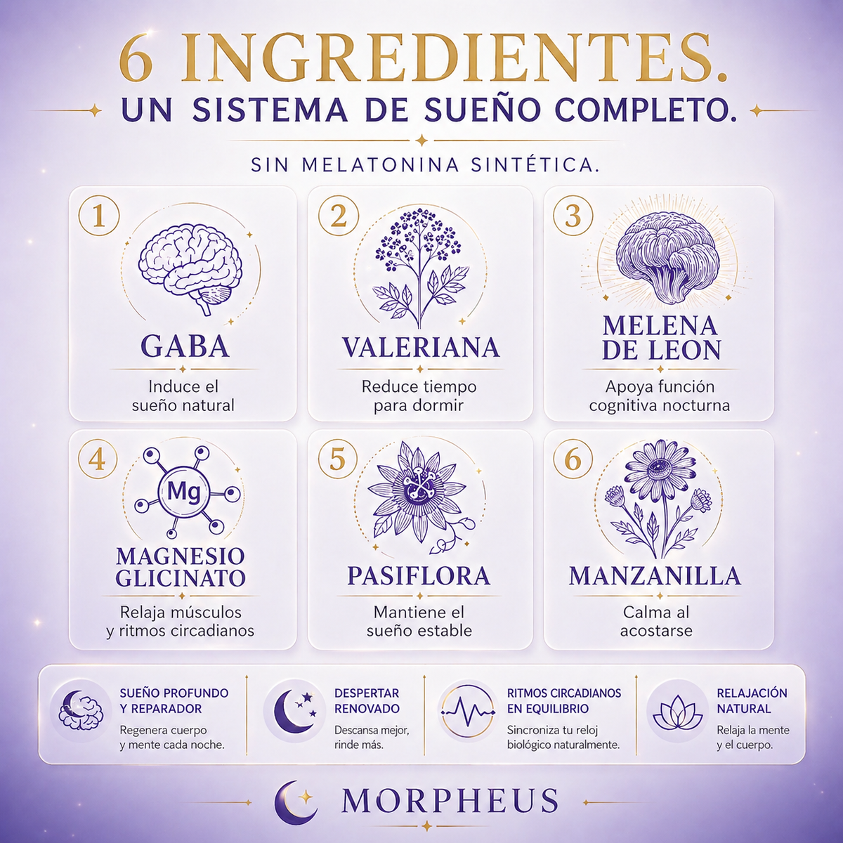 Los seis ingredientes de Morpheus: GABA, valeriana, pasiflora, manzanilla, melena de león y magnesio glicinato