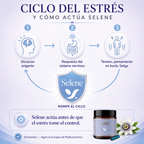 Selene, del Sistema 4 en 1 de Bodhi Origins