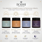 Los cuatro productos del Sistema 4 en 1 de Bodhi Origins: Aurora, Apolo, Selene y Morpheus