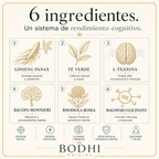 Apolo — Fórmula de la mañana · Sistema 4 en 1