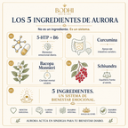Aurora — Fórmula del mediodía · Sistema 4 en 1