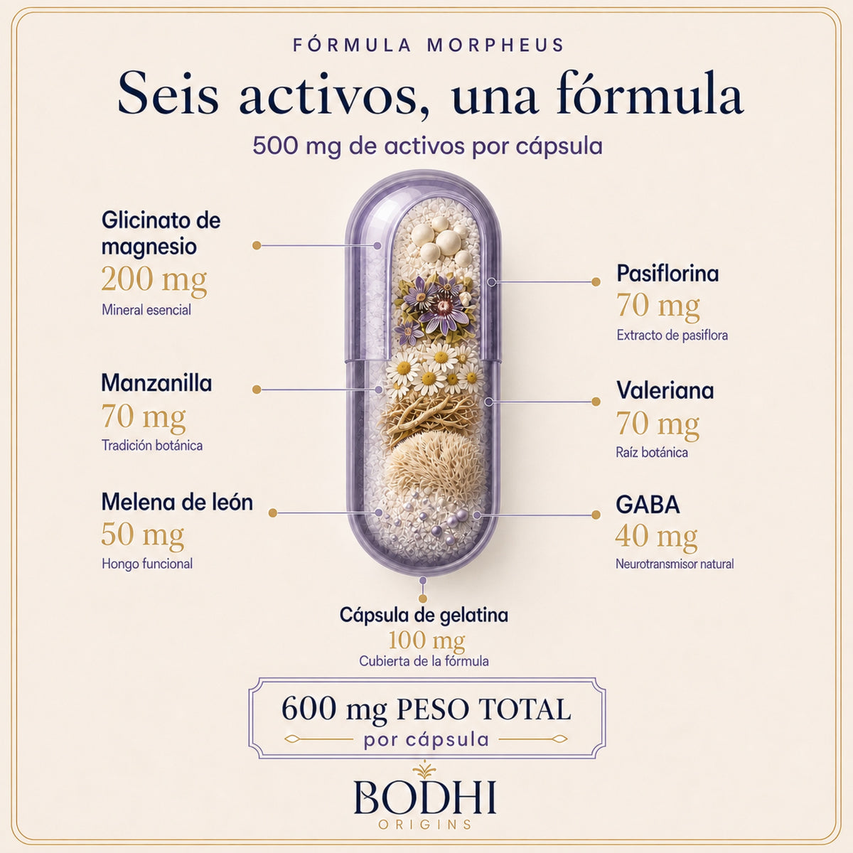 Morpheus — Fórmula nocturna · Sistema 4 en 1